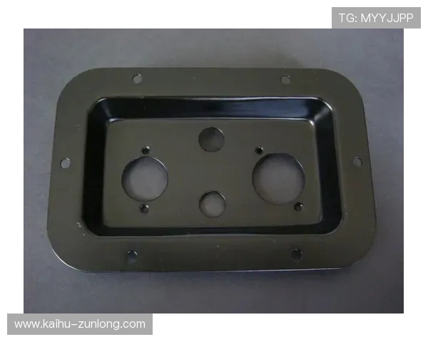 尊龙登录入口首页：全面解析登录流程与常见问题解决方案