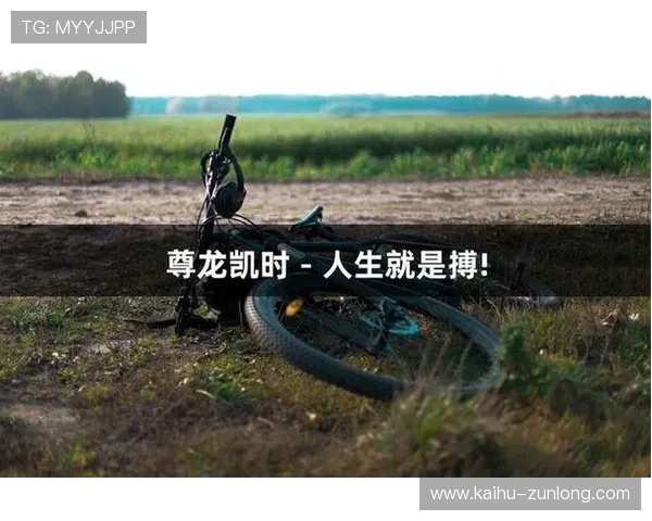 探索尊龙凯时中国人背后的文化与价值观，塑造精彩人生